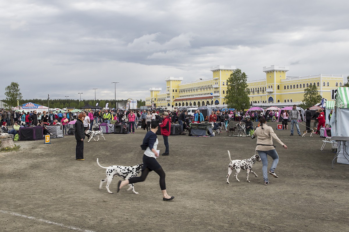 Miljoona Koira –näyttely kerää koiraihmiset jälleen Kyläkaupalle 11.-12.6.2016.