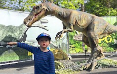 Kyläkaupalla tapahtuu myös juhannuksena! Vieraile esimerkiksi Dino World Tour –näyttelyssä, avoinna 30.6.2016 asti joka päivä klo 12-18.