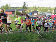 Polkujuoksu on upea vaihtoehto silloin, kun asvalttijuoksu ei oikein iske. Kuva Seinäjoen polkujuoksun alkutaipaleelta viime vuodelta.