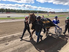 Välähdys Nordic King 2017 voittaja. Kuva Kirsi Kantokorpi.