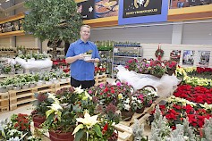 Kyläkaupan joulukukkamyynti palvelee 23.12.2018 asti joka päivä klo 9-21 Kauppakadulla, Ruokapuodin kassoja vastapäätä.