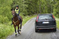 Hevonen on suuri ja voimakas, mutta ärsykkeille herkkä eläin. Rauhallisuus ja hidastaminen tekevät ohituksesta turvallisen. Kuva: Liikenneturva/Hannu Miettinen