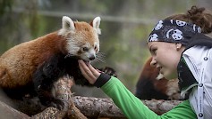 Eläimet ovat oivallisia piristyksen tuojia arjen keskelle.