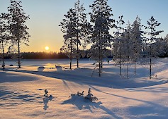 Talvimaisema. Kuva Liisa Heinämäki.