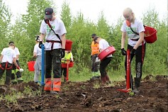 Taimiteko on työllistämisteko, sillä sen kautta varsinkin alle 18-vuotiaat nuoret saavat kesätöitä.