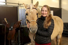 Nalle -vuonohevonen on Riiho Ranchin tallin sydän ja Mariannan ykköslemmikki.