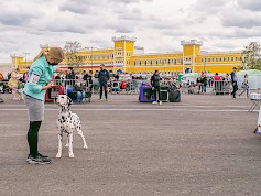 Miljoona Koira tuo Tuuriin jälleen satoja erilaisia koirarotuja 11.-12.6.2022.  Kuva: Erja Pekkala.