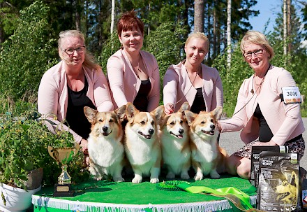 Miljoona Koira tuo Tuuriin jälleen satoja erilaisia koirarotuja 10.-11.6.2023. Lisäksi perjantaina 9.6.2023 samalla alueella järjestetään yksipäiväinen kaikkien rotujen näyttely.