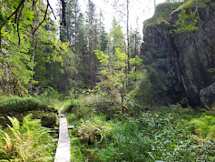 Kallioluonnossa on tarumaista hohdetta. Kuva Rautavaaralta. Päivi Ketonen