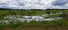 Luhtikylä, Orimattila. Kuva:Mikko Alhainen.