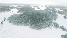 Vihatinsalo Jussi Salomäki