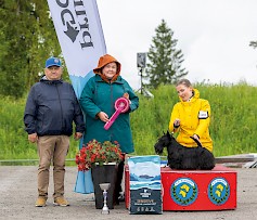 Miljoona Koira tuo Tuuriin jälleen satoja erilaisia koirarotuja 7.-8.6.2025. Kuvassa vuoden 2024 BIS skotlanninterrieri Quaint Theofilo, omistaja Tuuliniemi Arja. Lisäksi kuvassa tuomari Maija Lehtonen sekä Etelä-Pohjanmaan Kennelpiirin puheenjohtaja Reino Korpela.