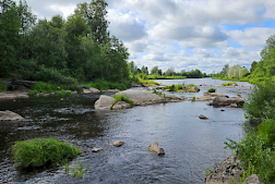 Monet joet ja purot ovat pohjalaismaakuntia yhdistäviä tekijöitä. Taimen ja jokihelmisimpukka ovat uhanalaisia lajeja ja esiintyvät kummassakin maakunnassa. Robin Sjöblom