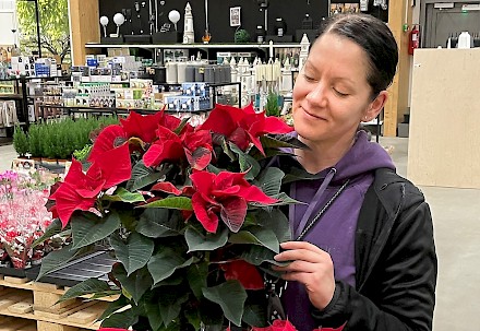 Kyläkaupan joulukukkamyynti palvelee asiakkaita Pihamyymälässä.