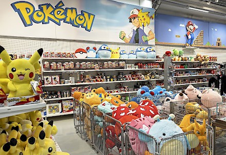Kyläkaupassa on Suomen suurin valikoima erilaisia peli-, elokuva-, TV-sarja- ja bändituotteita, kuten esimerkiksi suosittuja Pokemon ja Super Mario -oheistuotteita.