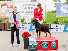 Miljoona Koira tuo Tuuriin jälleen satoja erilaisia koirarotuja 6.-7.6.2026. Kuvassa vuoden 2025 BIS rottweiler Heizelwood Vito, omistaja Tuominen Susanna. Lisäksi kuvassa tuomari Perttu Ståhlberg. Kuva Frida Slotte