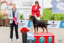Miljoona Koira tuo Tuuriin jälleen satoja erilaisia koirarotuja 6.-7.6.2026. Kuvassa vuoden 2025 BIS rottweiler Heizelwood Vito, omistaja Tuominen Susanna. Lisäksi kuvassa tuomari Perttu Ståhlberg. Kuva Frida Slotte