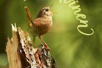 Kansi: Saara Hankama (kannen valokuva: Antti Strang)