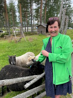 Kuvassa operatiivinen johtaja   Kristiina Peltomäki Suomenlampaiden Vilman, Himmelin ja Tuutikin kanssa.
