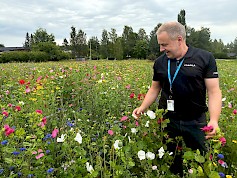 Kuortanelaislähtöinen maaseutupäällikkö Timo Perälampi esitteli yhtä Lempäälän kukkaniityistä. Hän suosittelee myöskin ihastelemaan kukkaloistoa maastossa ja lukuisten eri pörriäisten lentelemistä kukasta kukkaan. (Lisätietoa: www.lempaala.fi/kukkapellot)   Kukkaniittyjen koko ja muoto vaihtelevat, mutta kirjo on silmiä hivelevää.