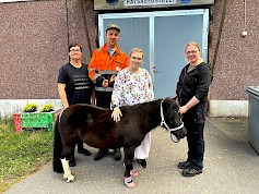 1. Kuva Lehtimäen Opiston hevostalleilta, jossa poni saa paljon rapsutuksia ja silityksiä. Vasemmalta erityisluokanopettaja Jaana Lehisalo, opiskelijat Antti sekä Oona ja ratsastuskoulun johtaja Leila Vähälummukka.