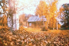 Mökin talvisulussa kannattaa kiinnittää huomiota erityisesti sähköihin, lämmitykseen ja vesijärjestelmään. Shutterstock