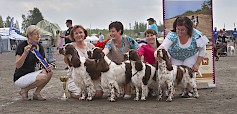 Miljoona Koira 2014 -kilpailun sunnuntain paras kasvattajaryhmä: Kennel Adamant's (englanninspringerspanieli)