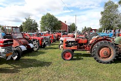 Maalahteen tulee runsaasti vanhoja traktoreita.