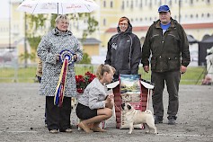 Vuoden 2015 BIS, mopsi Vilway's What's New Pussycat, om. Puttonen Mari, Majavesi. Palkintoja jakamassa BIS-tuomari Irina Poletaeva, Kyläkaupan edustaja Arja Jauhiainen ja näyttelyn puheenjohtaja Reijo Tallgren.