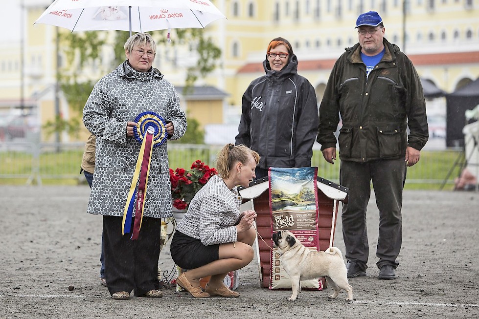 Vuoden 2015 BIS, mopsi Vilway's What's New Pussycat, om. Puttonen Mari, Majavesi. Palkintoja jakamassa BIS-tuomari Irina Poletaeva, Kyläkaupan edustaja Arja Jauhiainen ja näyttelyn puheenjohtaja Reijo Tallgren.