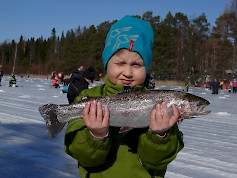 Viime vuonna Iivari Huhtala Sapsalammelta sijoittui toiseksi Mini Miljoona Pilkin 1-2-luokkalaisten sarjassa 1,19 kg saaliillaan.